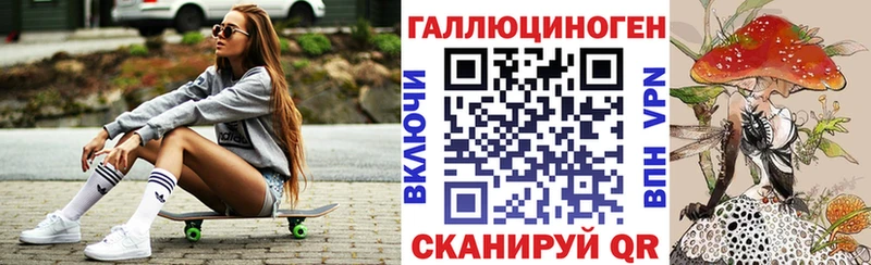 Псилоцибиновые грибы Psilocybe  Купить закладки  Новосокольники 